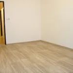 Rent 1 bedroom apartment in Prague