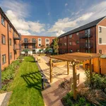 Rent 1 bedroom apartment in Exeter