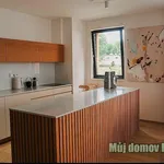 Rent 1 bedroom apartment in Capital City of Prague