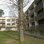 Rent 1 bedroom apartment of 12 m² in TOULOUSE