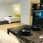 Rent 1 bedroom apartment of 45 m² in Nürnberg