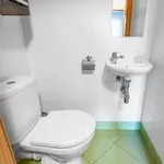 Pronajměte si 2 ložnic/e byt o rozloze 55 m² v Prague