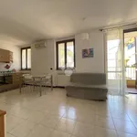 Rent 3 bedroom apartment of 80 m² in Castellanza