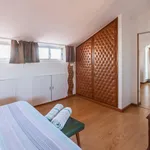 Alugar 1 quarto apartamento em Porto