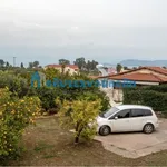 Rent 1 bedroom house of 70 m² in Municipal Unit of Lerna