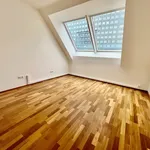 Rent 6 bedroom apartment of 210 m² in Wien