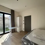 Rent 1 bedroom apartment in Leuven