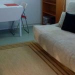 Rent 1 bedroom apartment of 34 m² in Toulouse