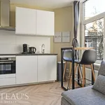 Rent 1 bedroom apartment of 30 m² in The Hague