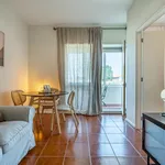 Rent 1 bedroom apartment in Porto