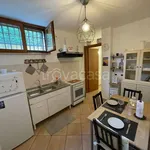 Rent 1 bedroom apartment of 45 m² in Anguillara Sabazia