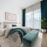 Rent 1 bedroom apartment in Brussels