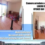 Appartamento in affitto a Casalmaggiore via Carlo Martelli, arredato, libero subito, centrale - TrovaCasa