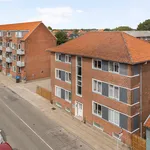 Rent 3 bedroom apartment of 85 m² in Fredericia