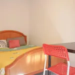 Rent 4 bedroom apartment in Madrid