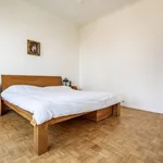 Rent 3 bedroom apartment in Brussels