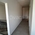 Rent 2 bedroom apartment of 53 m² in Bologna