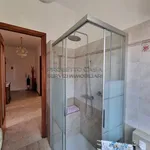 Rent 4 bedroom apartment of 15 m² in Bra