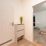 Rent 1 bedroom apartment in Ostrava