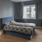 Rent 2 bedroom apartment of 54 m² in Bergen