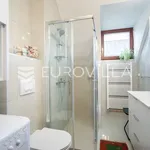 Rent 3 bedroom apartment of 120 m² in Zagreb