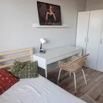 Rent 2 bedroom apartment of 33 m² in Łódź