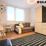 Rent 2 bedroom apartment of 35 m² in Brno