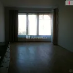 Rent 1 bedroom house in Prague