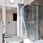 Rent 2 bedroom apartment of 30 m² in Turin