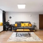 Rent 1 bedroom apartment in vilnius