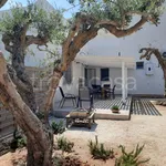 Rent 3 bedroom house of 85 m² in Marsala