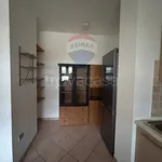 Rent 6 bedroom apartment of 85 m² in Ferrara