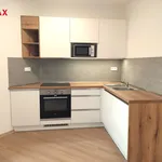 Rent 1 bedroom apartment of 45 m² in vizovice