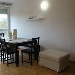 Rent 4 bedroom apartment of 92 m² in Szczecin