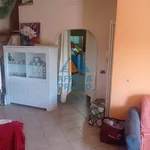 Rent 3 bedroom apartment of 70 m² in Pisa