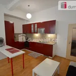 Rent 1 bedroom apartment in Praha 4