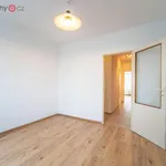 Rent 4 bedroom apartment of 67 m² in Praha