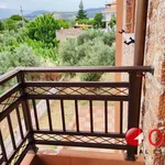 Rent 4 bedroom house of 460 m² in Πολυδένδρι