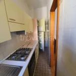 Rent 3 bedroom apartment of 75 m² in Bologna