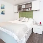 Rent 1 bedroom apartment in East Midlands