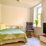 Rent 1 bedroom apartment of 49 m² in Leipzig