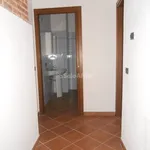 Rent 2 bedroom apartment of 40 m² in Pavia