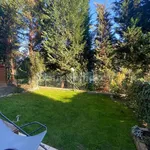 Rent 2 bedroom apartment of 54 m² in Parma