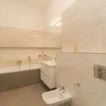 Rent 3 bedroom apartment of 134 m² in Budapest