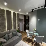 Rent 1 bedroom apartment of 50 m² in Padova