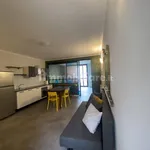 Rent 2 bedroom apartment of 50 m² in Turin