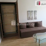 Rent 1 bedroom apartment of 40 m² in Zlín