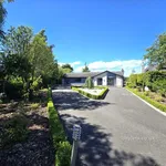 Rent 4 bedroom house in Aberdeenshire