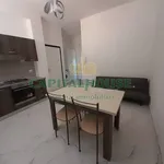 Rent 2 bedroom apartment of 55 m² in Caserta