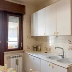 Rent 1 bedroom apartment in Rome